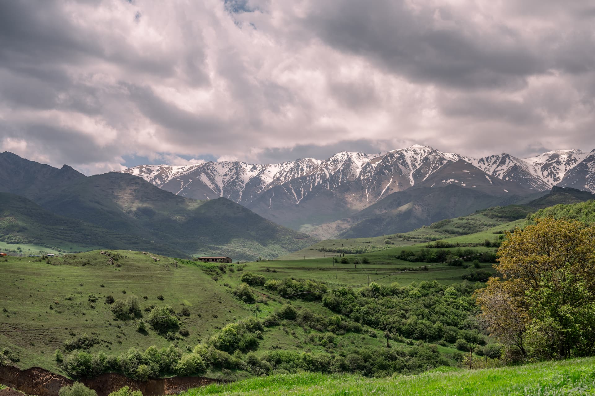 GoToArmenia, information project